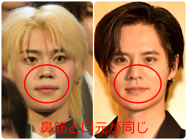チェン・リッキーと岡本圭人の鼻筋と口元を比較した画像。