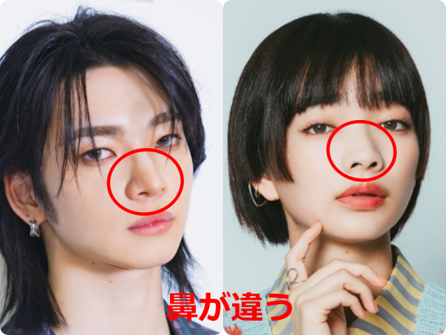 aoen颯太と女優・見上愛の顔画像を比較。鼻の部分を赤丸で囲み、鼻筋や鼻先、小鼻の形に違いがあることを示している。