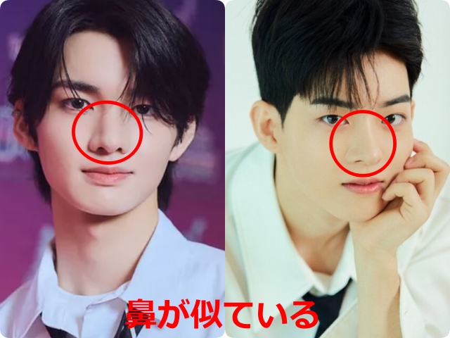 aoen輝とVICTON・スビンとして掲載された顔写真を並べ、鼻を赤い丸で囲って比較した画像。『鼻が似ている』と赤字で示されている。