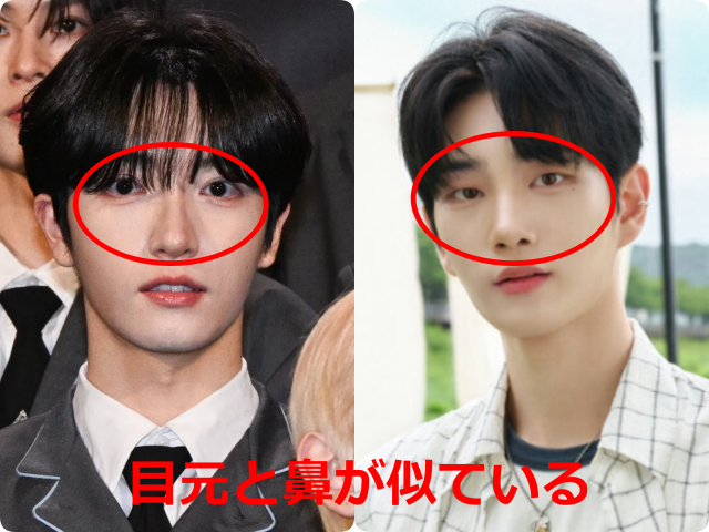 パク・シヨンとチ・チャンウクの顔写真を並べ、目元と鼻を赤枠で示した比較画像。目元の雰囲気と鼻筋の共通点を比較