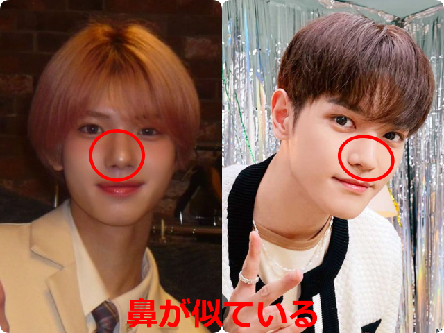 矢田佳暉（YOSHIKI）とNCT／NCT 127のテヨンの鼻を比較し、似ている部分を示した画像