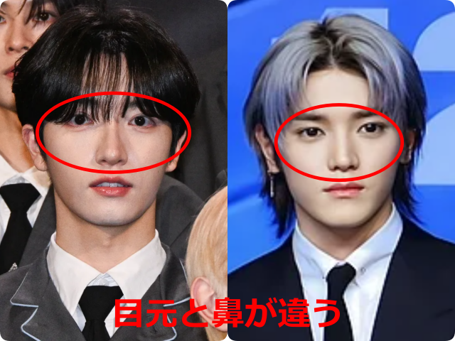 パク・シヨンとテヨンの顔写真を並べ、目元と鼻を赤枠で示した比較画像。目の形や鼻筋・鼻先の違いを比較