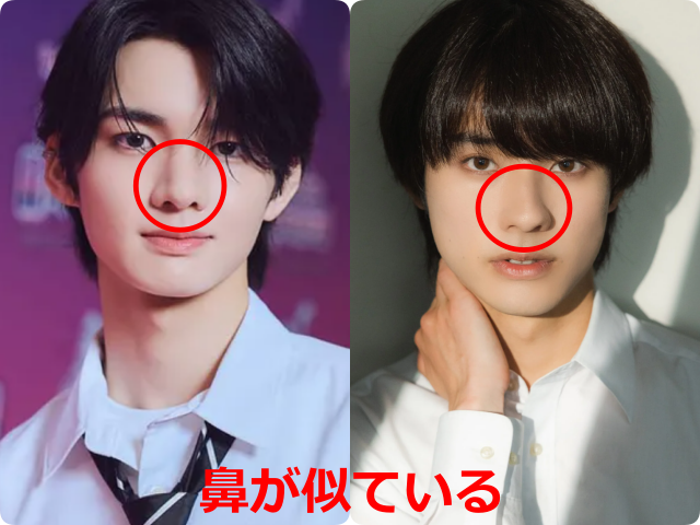 aoen輝と前田拳太郎として掲載された顔写真を並べ、鼻を赤い丸で囲って比較した画像。『鼻が似ている』と赤字で示されている。