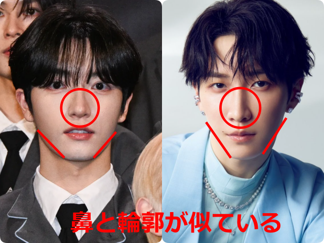 パク・シヨンと渡辺翔太の顔写真を並べ、鼻と輪郭を赤線で示した比較画像。鼻筋とフェイスラインの共通点を比較