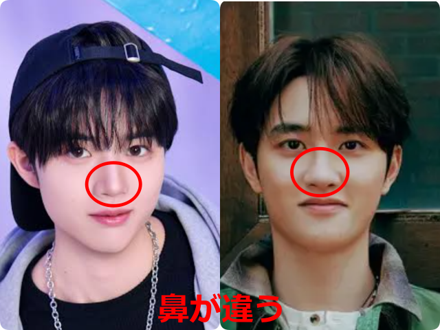柳谷伊冴（ISSA）さんとD.O.（ド・ギョンス）さんの顔写真を並べ、鼻を赤い丸で囲んで違いを示した比較画像